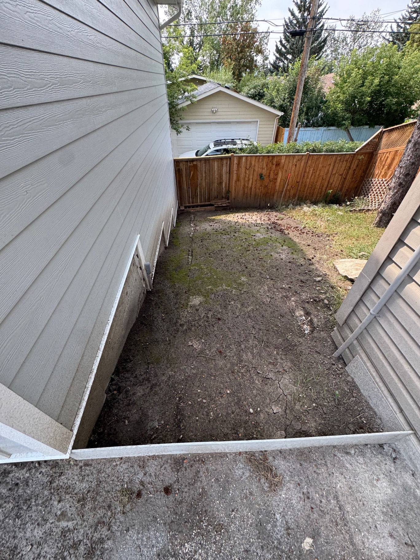 Yard Grading & Site Prep